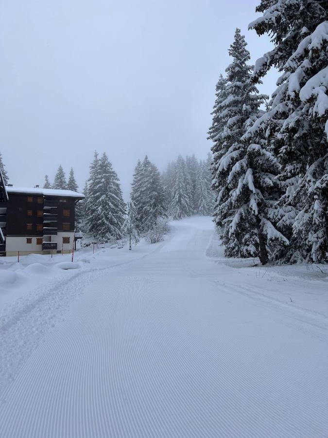 Apartment La Foret Des Rennes - Les Saisies *